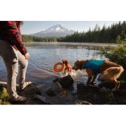 Ruffwear Hydro Plane™ Spielzeug M Orange 10 Ruffwear Hydro Plane™ Spielzeug M Orange -Haustierprodukte 006b8682fcf44b40a786d55bd2f1d1cf7f91a7a7 1364300 de DE b9c71d828876a94633bfda1055d03e137f81043ehPprdP
