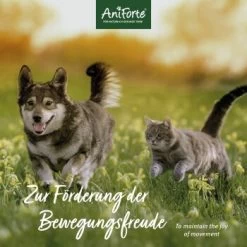 Aniforte MSM Pulver 300g -Haustierprodukte 015cff2ab7052307a054b07e2455a1716a21bfb4 1472624 de DE 4c4323a13282fd07c53e518bf329d72b94d75ac95mimOv