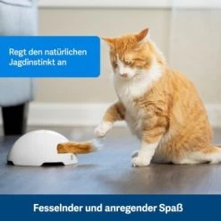 PetSafe Automatisches Katzenspielzeug Fox Den -Haustierprodukte 038232be25f9015ce160251d628e0af5cabbc69f 1351524 de DE dbeb3a30744bbc866a12a3ecd4f619007abf0a14xn8Dpf