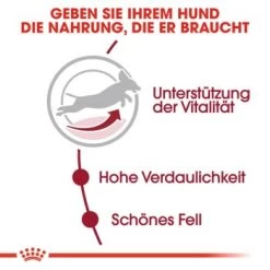 ROYAL CANIN Medium Adult 7+ 15 Kg 12 ROYAL CANIN Medium Adult 7+ 15 Kg -Haustierprodukte 04eb7d87df5b684583bdb34b9dbb8b3c747a2f15 46665ad1d925e10f5abd0570b28093678ef21e27