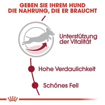 ROYAL CANIN Medium Adult 7+ 15 Kg 5 ROYAL CANIN Medium Adult 7+ 15 Kg – Bild 5