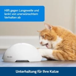 PetSafe Automatisches Katzenspielzeug Fox Den -Haustierprodukte 08408a2d9006c3b10c605053b082403622980ada 1351524 de DE 8502feb5da21e0ab937dc8c82ecaeac4aebee886lllVcE