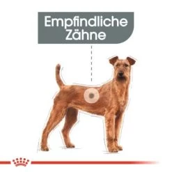 ROYAL CANIN Dental Care Medium 10 Kg -Haustierprodukte 0d5c6fa44d53dd330864bef70ba3fcb8e4060102 e1244fc5549ff631e08ac8924d20a1208a8a78c0