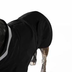 THE DOG IDEA Regenmantel Kayden Schwarz XXS 11 THE DOG IDEA Regenmantel Kayden Schwarz XXS -Haustierprodukte 0e01175cba853a87eaf04bc91048ff79a3427543 1681338 de DE 6ffe4ba43054e7f852d6b34c5aa2c03f7bf7dd45347g4M