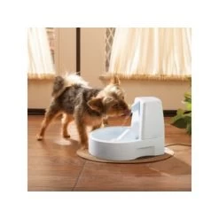 PetSafe Drinkwell Trinkbrunnen Original, 1,5 Liter -Haustierprodukte 0eafb4742dba6833f9a27c15a06f970e4cd3a735 e5e9d8abdbe4501019d4b3506e15c02aeff7b01c