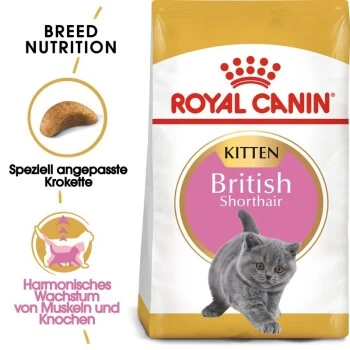 ROYAL CANIN British Shorthair Kitten 2 Kg 2 ROYAL CANIN British Shorthair Kitten 2 Kg – Bild 2