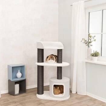 Trixie Kratzbaum XXL Cara 2 Trixie Kratzbaum XXL Cara – Bild 2