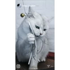 Kater Kasimir Deluxe Set Mit 9 Beliebten Katzenspielzeugen Aus Naturmaterial Und Handgemachtem CATDAD Armband -Haustierprodukte 122baa0b19daadb3dc19f77bbc4abc925f85480d 1408151 de DE b29a5f7f2530ce6388e16e2600369d70b2ec0350gWtDX5