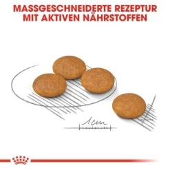 ROYAL CANIN Dermacomfort Mini 8 Kg -Haustierprodukte 153f033e2dcf5ff3f3fe5980c2b8369ba138b127 ba5d5643da57e37fa8d0281630597835e531d0cd
