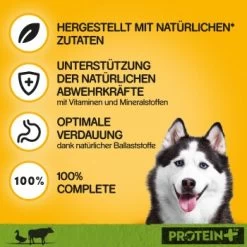 Pedigree Dose Protein+ In Pastete 12x800g Rind Mit Ente 11 Pedigree Dose Protein+ In Pastete 12x800g Rind Mit Ente -Haustierprodukte 1696c2b3fa0bb6b039068e7fe6dce0a8f30d7069 1394131 de DE pedigree 2