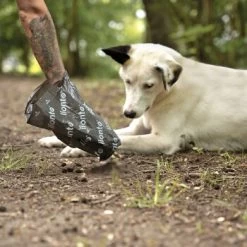 Lionto 900 Hundekotbeutel, Schwarz/grün 7 Lionto 900 Hundekotbeutel, Schwarz/grün -Haustierprodukte 17d84f00e6e089a625e4a7445a96fed1a09bb2f4 1505073 de DE c0948f5c29f13d2cf13d5fe146c78c3bdc08027cV7CBfj