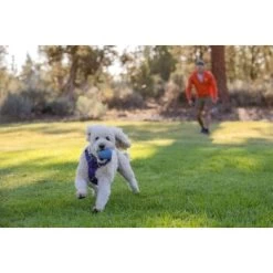 Ruffwear Huckama™ Spielzeug Violett -Haustierprodukte 1e25287ed59c30d76e9b799ca71232e607c6932b 1639706 de DE 4cde75bd4ef04e9f936b40473471e71f69a39443R9gkOp