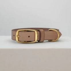 THE DOG IDEA Leder Halsband Beige XL -Haustierprodukte 1ec48d2972c0e1dfe6ea7297404e371c480b6f93 1674216 de DE e62f018514b26e403cf6836ac6a855f79abfd60fyH1vTH