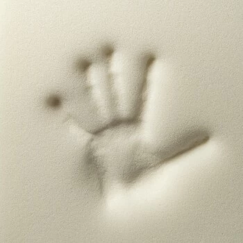 Rexproduct Otto Orthopädisches Hundebett Grau S-XL Graphit/nature S 3 Rexproduct Otto Orthopädisches Hundebett Grau S-XL Graphit/nature S – Bild 3