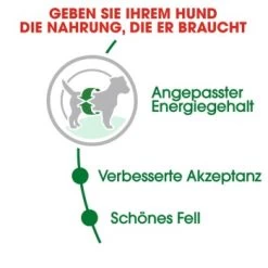 ROYAL CANIN Mini Adult 8 Kg -Haustierprodukte 21a75e18dd1e934195f6d0b5ad84a9570a91191d c720d53d881e68ef8e0f57239191ef1e7e47842d