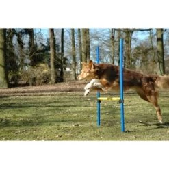 Dobar 3-teiliges Agility Sprung-Set,, Inkl. Tragetasche -Haustierprodukte 23438a1c89953580debb447a4f2a6705cf109122 9daba483a29d35b05cf9df2cf0269c15e7db3ed2