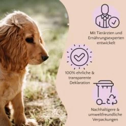 FAVLY Petfood PURE Bites Hirsch 360 G 7 FAVLY Petfood PURE Bites Hirsch 360 G -Haustierprodukte 236dbc85f5fb75ec5fb4367bde1445e3087ffdcd 1474003 de DE 80624b888460a5c29f043365a19496292e44fd84TlIvR8