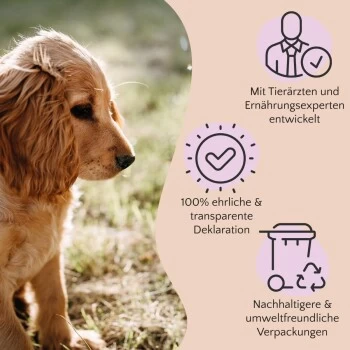 FAVLY Petfood PURE Bites Hirsch 360 G 4 FAVLY Petfood PURE Bites Hirsch 360 G – Bild 4