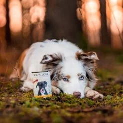 DOG'S LOVE Adult Fleisch Pur B.A.R.F. 6x400g Huhn -Haustierprodukte 23da8a3e43fad305a04436df0548025ecd8d9384 1274546 1