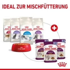 ROYAL CANIN SENSORY Smell In Gelee Für Wählerische Katzen 12x85g 10 ROYAL CANIN SENSORY Smell In Gelee Für Wählerische Katzen 12x85g -Haustierprodukte 25c7f2b0017090b05172a164b94d24299f626039 5b9b3776479c43ed4449b8634046c65b7d96c1fe