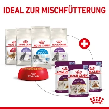 ROYAL CANIN SENSORY Smell In Gelee Für Wählerische Katzen 12x85g 4 ROYAL CANIN SENSORY Smell In Gelee Für Wählerische Katzen 12x85g – Bild 4