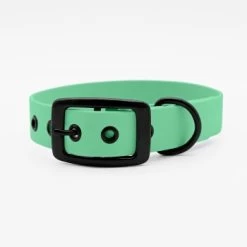 THE DOG IDEA Biothane Halsband Mint Schwarz XS 7 THE DOG IDEA Biothane Halsband Mint Schwarz XS -Haustierprodukte 25cf8844167d35dc6a0ede8247bd0c1c48926912 1679203 de DE 5dfc334cca991c733ec62b12b4247e7b946f4cb7XO7Lzj