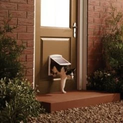 PetSafe 2-Wege Haustiertür Weiß M -Haustierprodukte 284b6c0e2d4af407fa066a9ade6919cad93b0996 438829924df9312a221b9e8e0948d50819e6167c