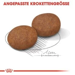 ROYAL CANIN Medium Adult 7+ 15 Kg 10 ROYAL CANIN Medium Adult 7+ 15 Kg -Haustierprodukte 287acfd0f9a5d960adefc0d31985c0030a54ad32 fba25e4adcc0f30cdea8227f66b5905a08faaddf