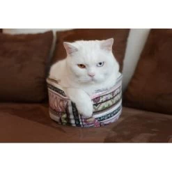 Canadian Cat Company Katzenschiff LUNA 9 Canadian Cat Company Katzenschiff LUNA -Haustierprodukte 2a794931f9263820d298c92486fc08c7b5fe3a35 1412669 de DE 46780a4b5da8fe052e5be00462eb02991658c41f2ZgeMs