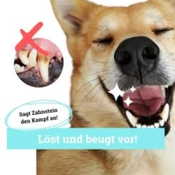 BeG Buddy Zahn Weiß Dental Spray, Zahnpflege & Maulhygiene Hund -Haustierprodukte 2b26d8c9897450ebcdc3208b54321074a39fd8e8 1457255 de DE d036d3de3fb2bf618dcbd8071c7342bd7ffedc2f5CGqW6