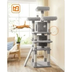 FEANDREA Katzenbaum 172cm Hellgrau Hellgrau -Haustierprodukte 2beb608b0c25f31a5b591bd7b697fde4b8299f66 1483575 de DE 0ad423e802c0fbbefde959609f78ace2ca898ed9EZB5uL