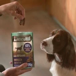 Adventuros Mini Steaks Hirsch 7x70g -Haustierprodukte 2e2ae235557f4e213e8fb7486871b002e1b3ab69 33076268b6b2662078af3ca0eea08fc78b831e6a