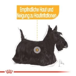 ROYAL CANIN Dermacomfort Mini 8 Kg -Haustierprodukte 2e3e3c6b2d06e764aae9020ad09e3e46f3316b00 5316148670735b865ac3b74806739474a10e760a