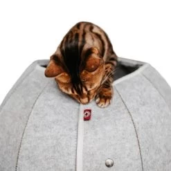 Canadian Cat Company Katzenhöhle In Kugelform S 11 Canadian Cat Company Katzenhöhle In Kugelform S -Haustierprodukte 2ecb868df2d3b2cf90a9092caebd3c19caa20008 1347679 de DE 9620a1f8944edc55aec2b992d490644e015c022abD41s1