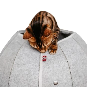 Canadian Cat Company Katzenhöhle In Kugelform S 4 Canadian Cat Company Katzenhöhle In Kugelform S – Bild 4