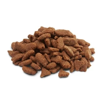 Versele-Laga Crispy Pellets - Ferrets 10kg 2 Versele-Laga Crispy Pellets - Ferrets 10kg – Bild 2