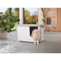 MORE FOR Katzentoilette XXL Titan -Haustierprodukte 331a65ecbdbda6a54304894f23caf93293414f9a 41a7dcb3b92b8da7531785b268f381c1b25bbf04