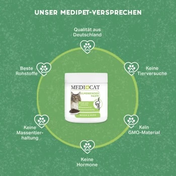 MediCat Ulmenrinde Paste 2 MediCat Ulmenrinde Paste – Bild 2