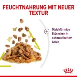 ROYAL CANIN SENSORY Smell In Gelee Für Wählerische Katzen 12x85g 9 ROYAL CANIN SENSORY Smell In Gelee Für Wählerische Katzen 12x85g -Haustierprodukte 3469e2789c9f64bff26f87bbac39ba0a4ed440ea 45f33cf5dbb691236fc67f7b11a07842abb35bb4