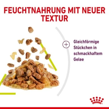 ROYAL CANIN SENSORY Smell In Gelee Für Wählerische Katzen 12x85g 3 ROYAL CANIN SENSORY Smell In Gelee Für Wählerische Katzen 12x85g – Bild 3