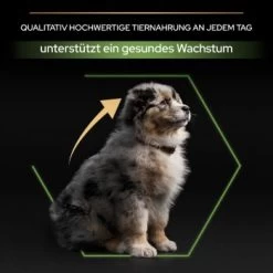 PRO PLAN Optistart Medium Puppy 3 Kg -Haustierprodukte 358956cabb2065dd27e04a71eb360b94911ed0da 1206411 6