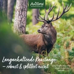 Aniforte Hochland Hirschgeweih Large -Haustierprodukte 39f2a5ff6e53888c8c1695f466ea6e43e64cad4b 1656976 de DE 99c99505097d02177ff254d85e1c4aff420ff4f7Vy9IA6