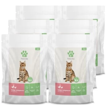 Fellicita Geflügel & Geflügelherzen 6x 295g Frischebeutel 2 Fellicita Geflügel & Geflügelherzen 6x 295g Frischebeutel – Bild 2