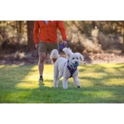 Ruffwear Huckama™ Spielzeug Violett -Haustierprodukte 3c9858f23e189df169fef8e6b079b9b80afe5185 1639706 de DE 22affde3e5114f0c2b5db19a77f0508968440a74megCgS