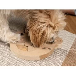 TrendPet Intelligenzspielzeug Intelli 7 TrendPet Intelligenzspielzeug Intelli -Haustierprodukte 3eb4d41034c0f3313929136157c4052ccd4ea926 1260161 de DE d146e7e756f1415d035fb0f48553c56a33aee61amIbGAB