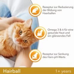 IAMS Vitality Adult Hairball Huhn 10 Kg -Haustierprodukte 401ab652809dfedce7c59c99ad81fce5347594eb 334b64ba35870c05d1378b1c3128cc83d6f79ac9