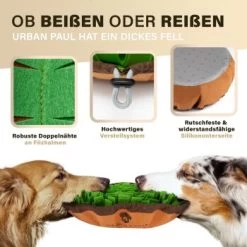 URBAN PAUL Schnüffelteppich - Grün 10 URBAN PAUL Schnüffelteppich - Grün -Haustierprodukte 41b69e30147446053fcf1ef3a5c0ef4e586c3637 1477263 de DE f3d4dc055420076a5d6665754e59033e977ead92pVbA3s