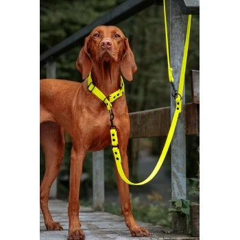 THE DOG IDEA Biothane Hundeleine Neongelb Neon Gelb 2 THE DOG IDEA Biothane Hundeleine Neongelb Neon Gelb – Bild 2