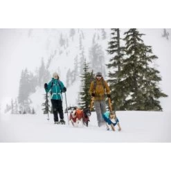 Ruffwear Vert™ Hundejacke Blau/ Türkis XS -Haustierprodukte 4884d1fb308119bdbd85338ca39d0360fc2661ed 1369612 de DE 011ac430af1497c1c9abc3b9ca96058ddb34571cXmp5YY