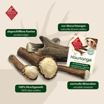 ChronoBalance Geweih Halbiert (M) 2er Paket 6 ChronoBalance Geweih Halbiert (M) 2er Paket – Bild 6